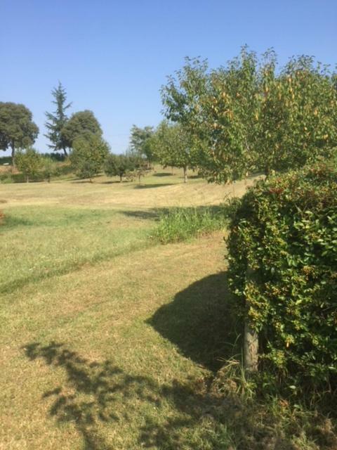 Holiday home _lori